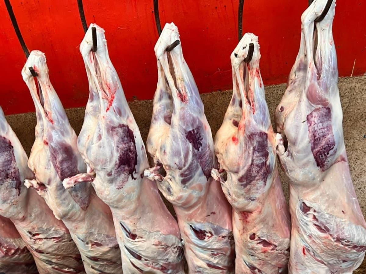 Fresh cuts from our vendors